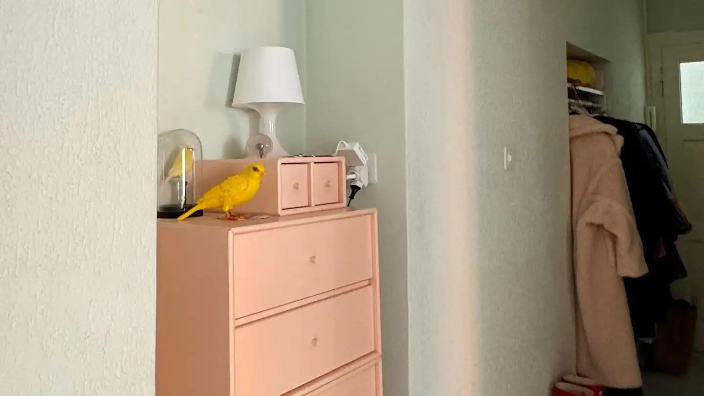 Wohnung mieten - Via Collegio, 6612 Ascona - Foto 2