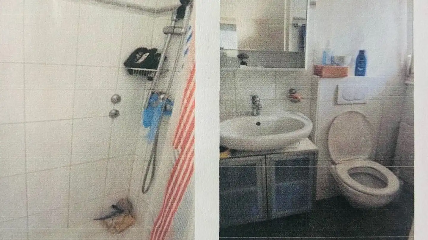 Appartamento in affitto - Zelglistrasse 7, 8046 Zürich - Foto 2