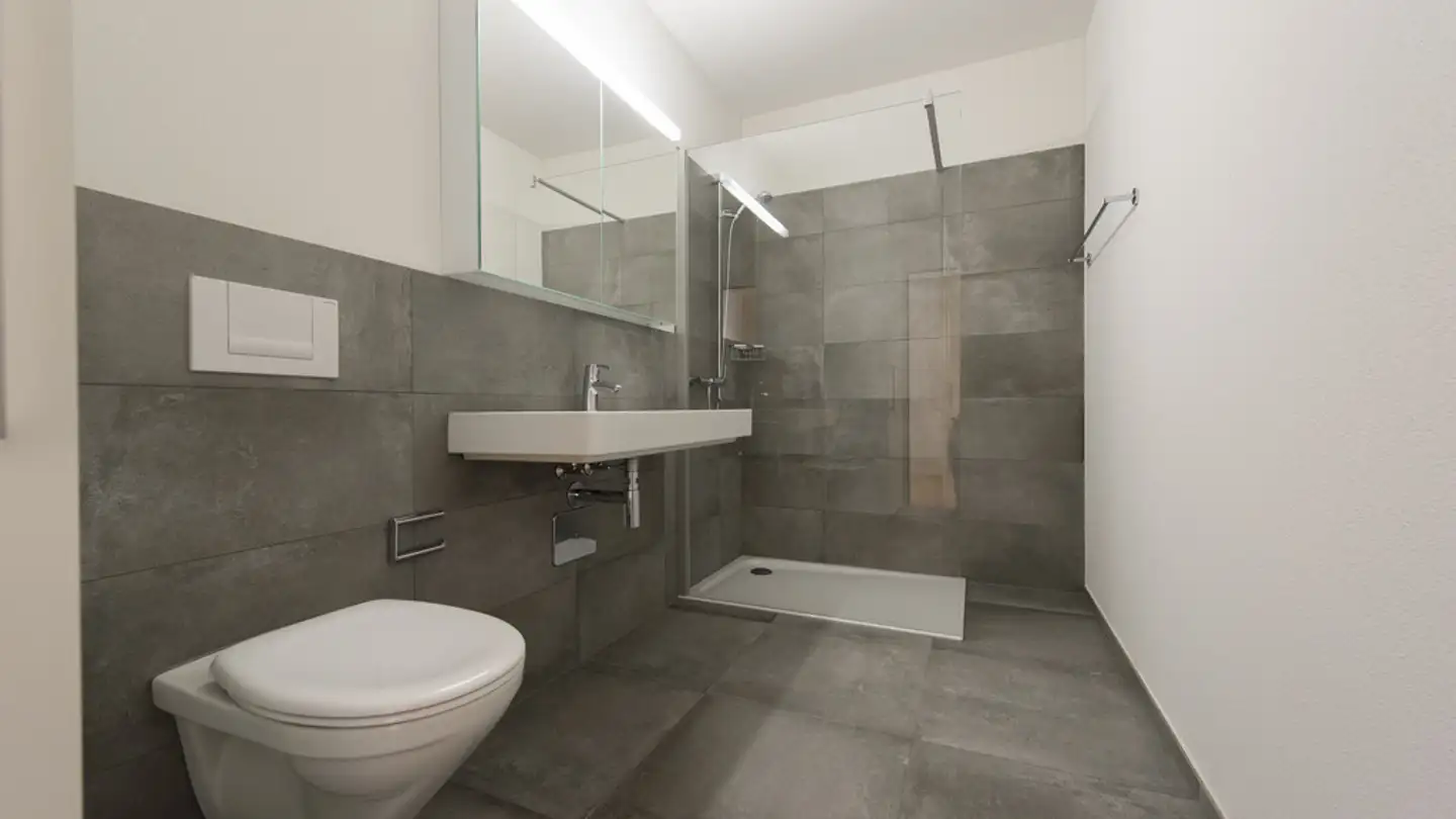 Loft for rent - Hauptstrasse, 5734 Reinach AG - Photo 3