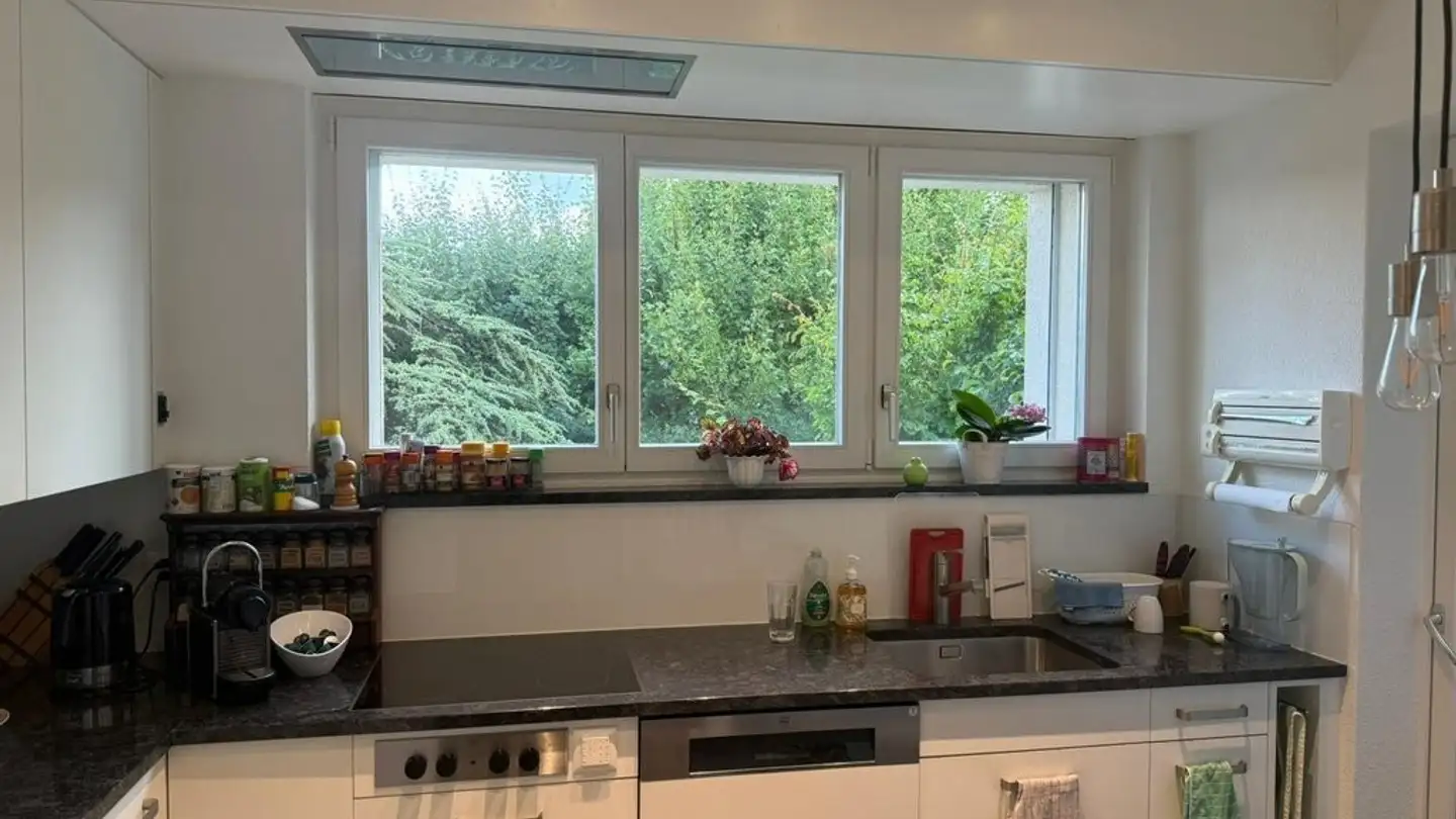 Appartamento in affitto - Schiffliweg 8, 8700 Küsnacht ZH - Photo 2