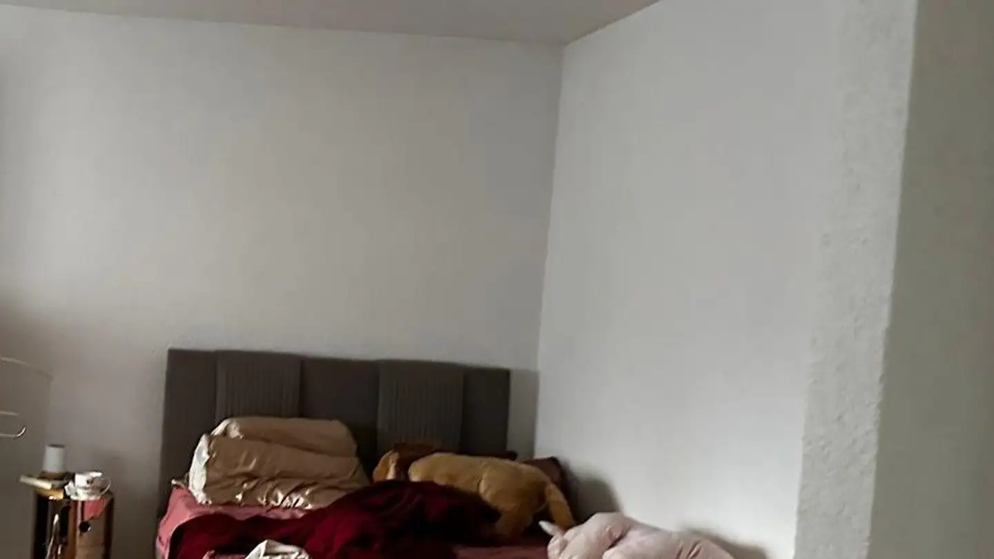 Appartement à louer - Avenue Saint-Paul 11, 1004 Lausanne