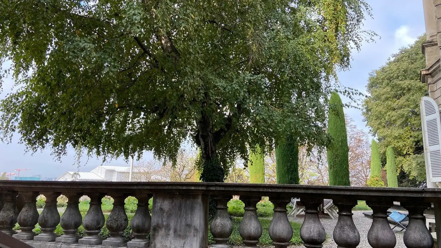 Appartement à louer - Place Du Bourg-De-Four 36, 1204 Genève