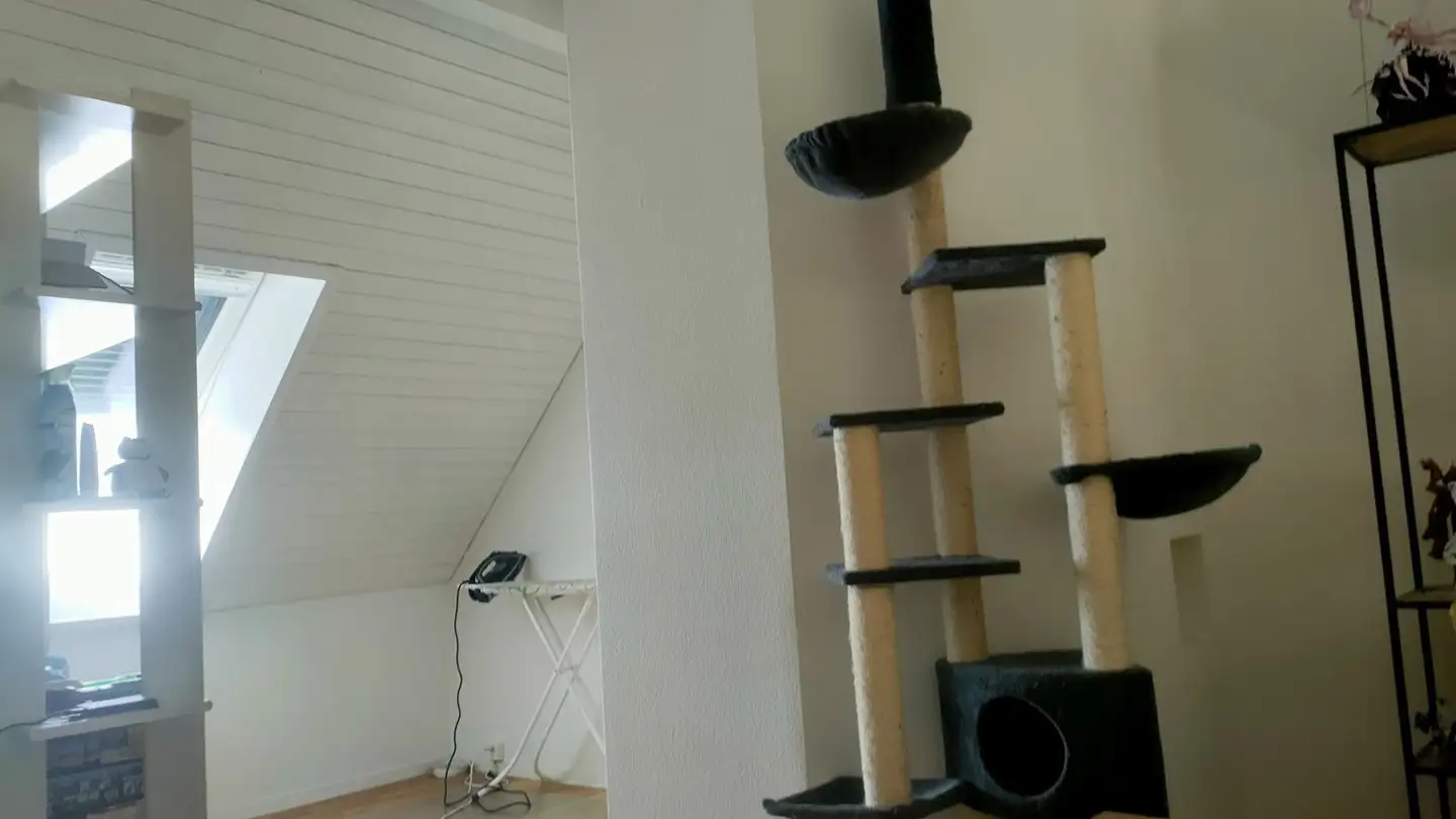 Single room for rent - Schwandenholzstrasse 238, 8046 Zürich - Photo 3