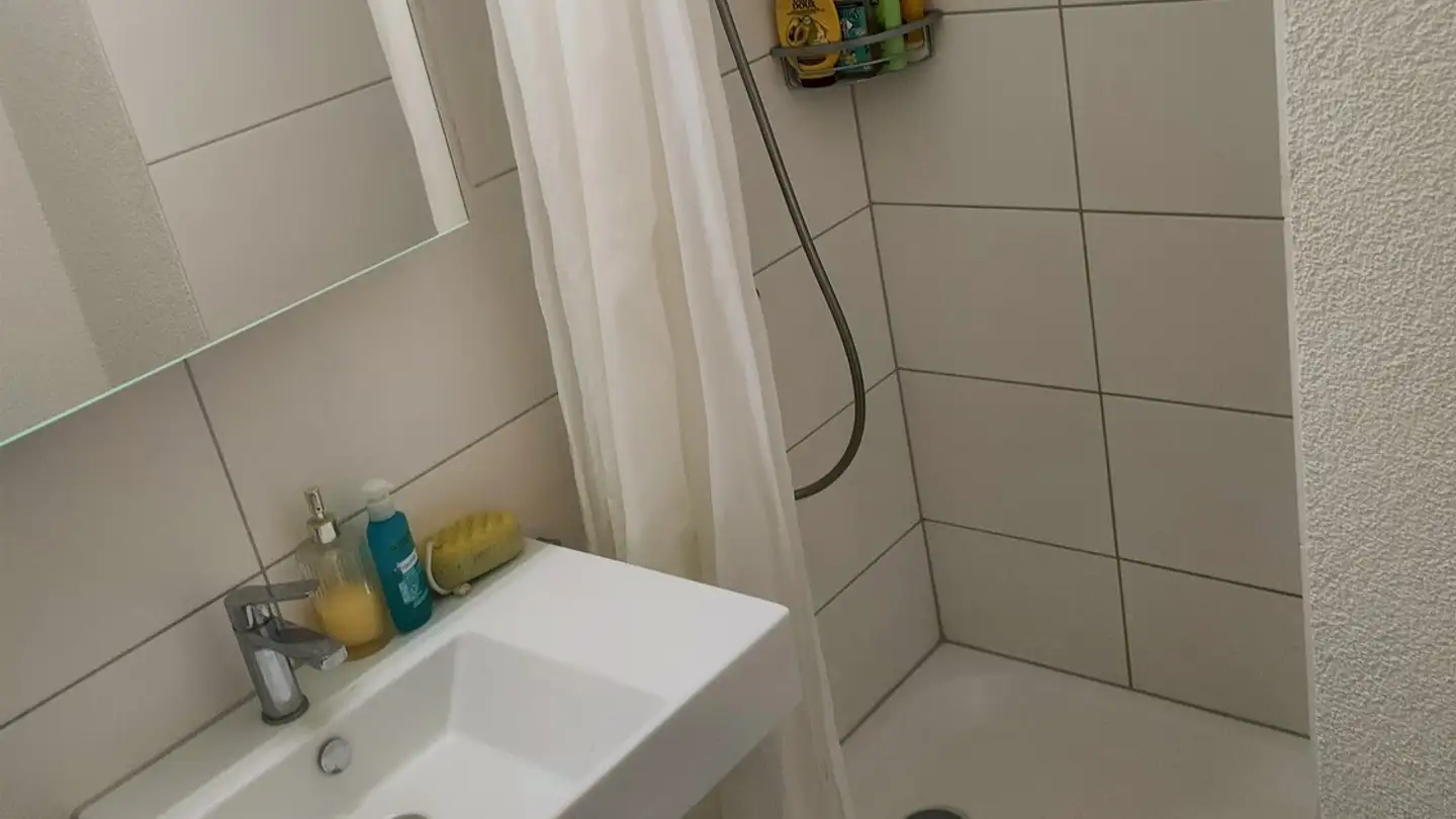 Single room for rent - Schwandenholzstrasse 238, 8046 Zürich - Photo 2