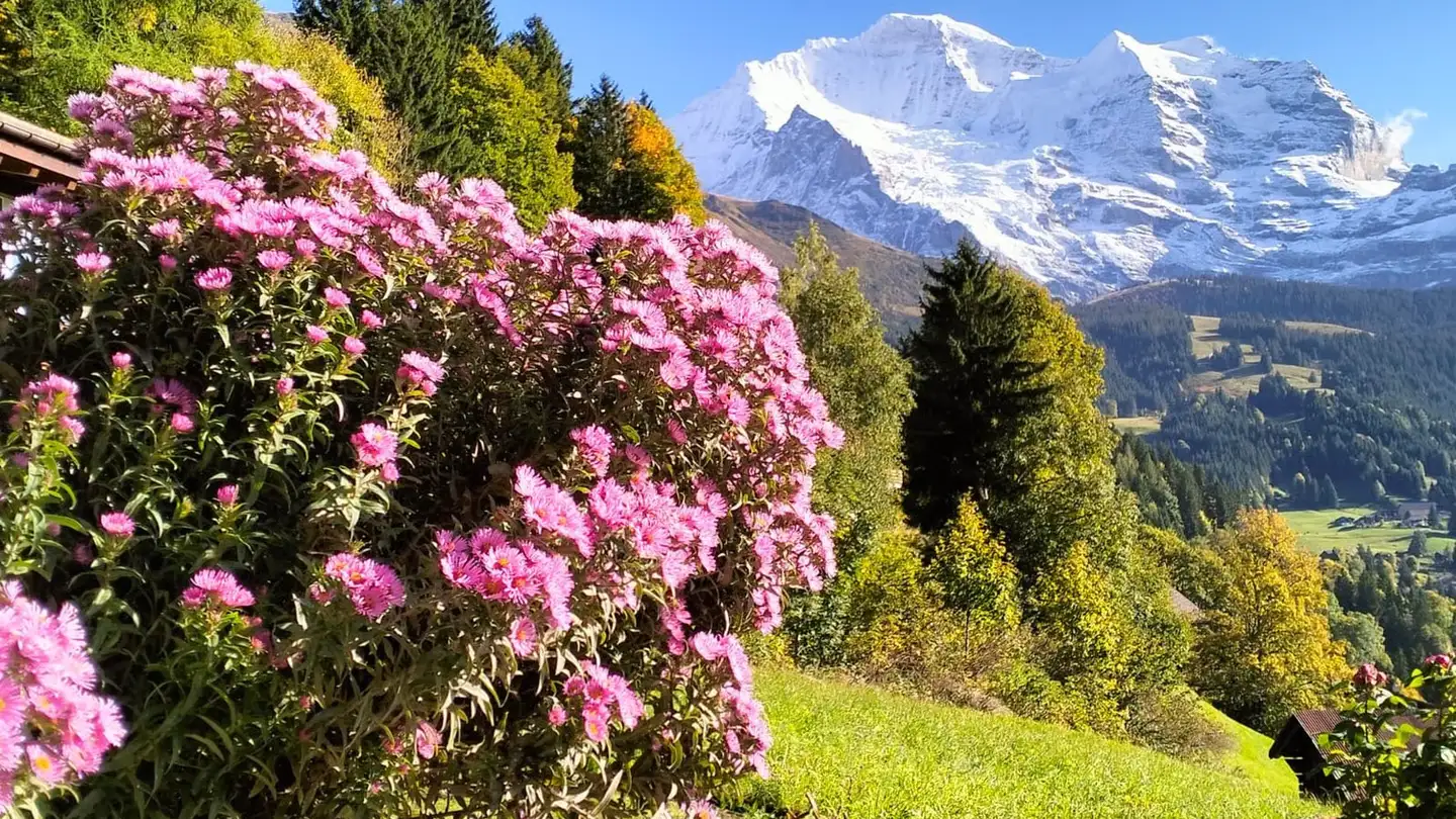 Wohnung mieten - Stutz 1489, 3823 Wengen - Foto 2