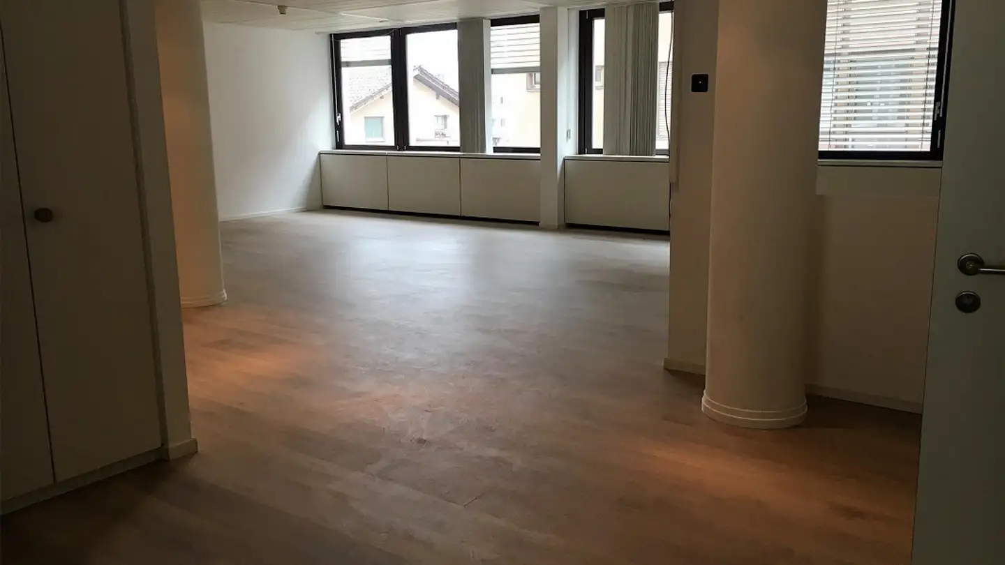 Commercial for sale - 6830 Chiasso - Photo 4