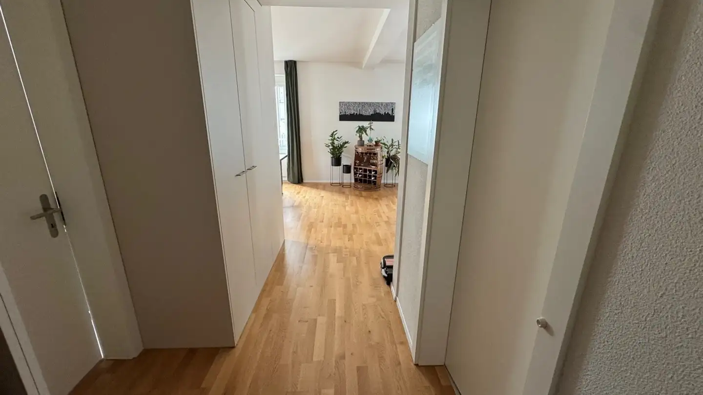 Attic flat for rent - Kochstrasse 19, 8004 Zürich - Photo 4