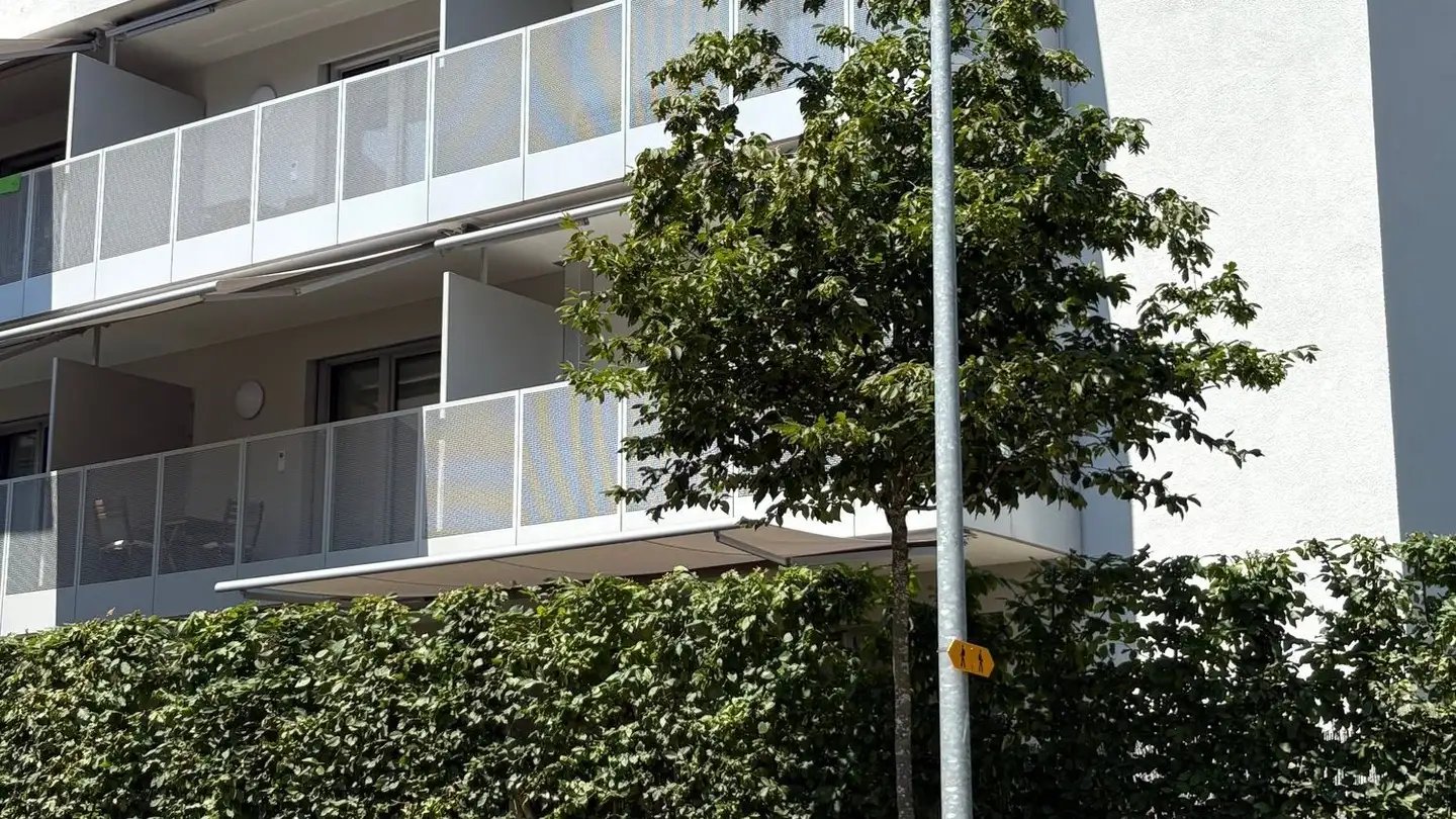 Appartamento in affitto - Guyer-Zeller-Strasse 15, 8620 Wetzikon ZH