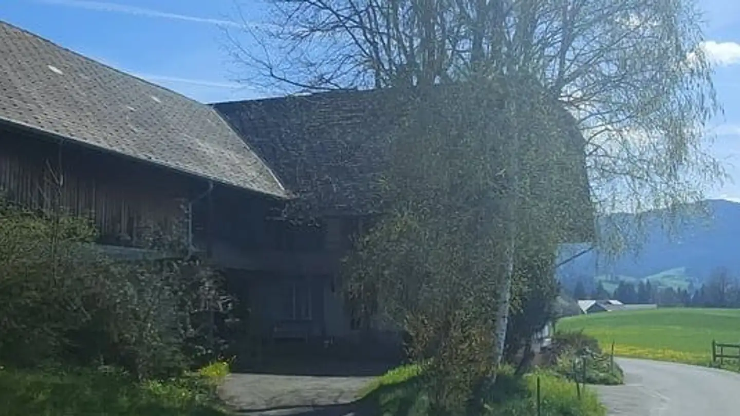 Farm for sale - Honegg-Süd, 3616 Schwarzenegg - Photo 4