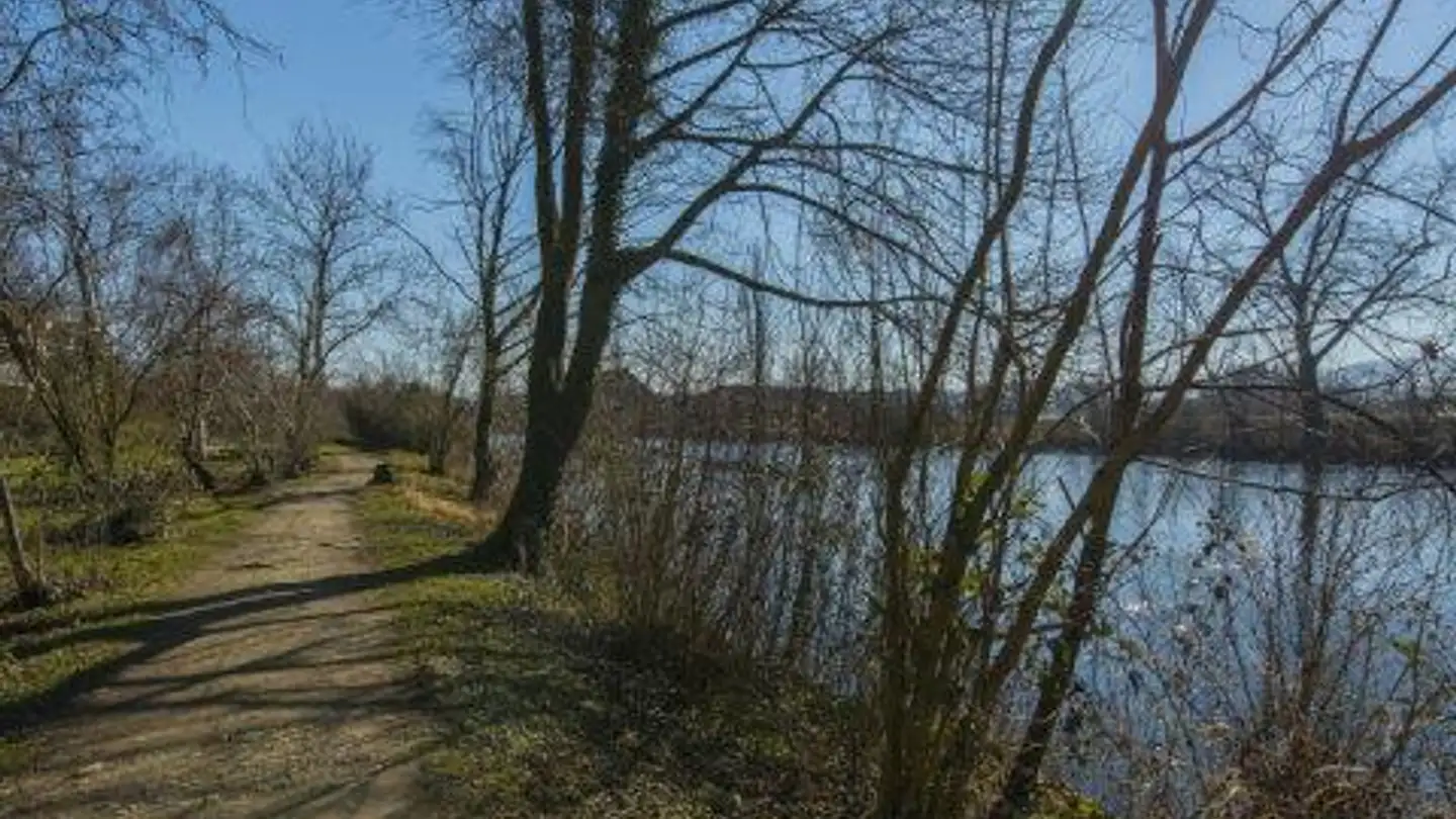 Wohnung mieten - Limmatwiesenstrasse 10, 8955 Oetwil an der Limmat - Foto 3
