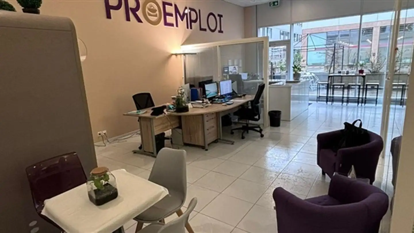 Commercial for rent - Chemin Du Pré-Fleuri 5, 1228 Plan-les-Ouates - Photo 2