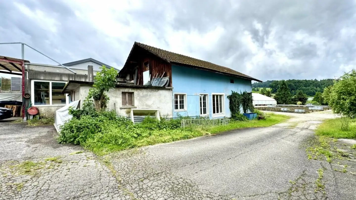 Terrain commercial à vendre - 6147 Altbüron - Photo 2