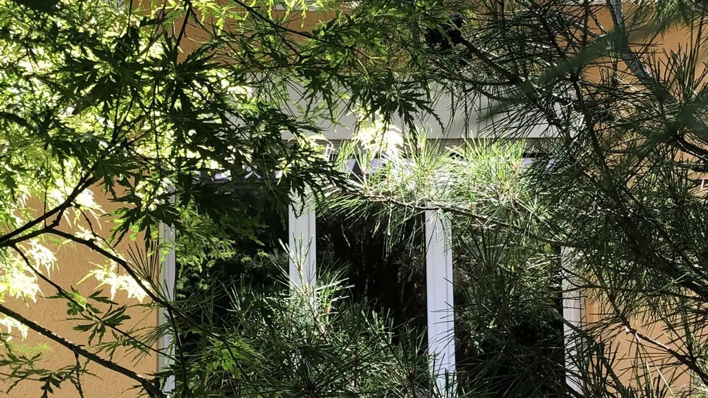 Zimmer mieten - Chemin de Montéclard 23A, 1066 Epalinges - Foto 3