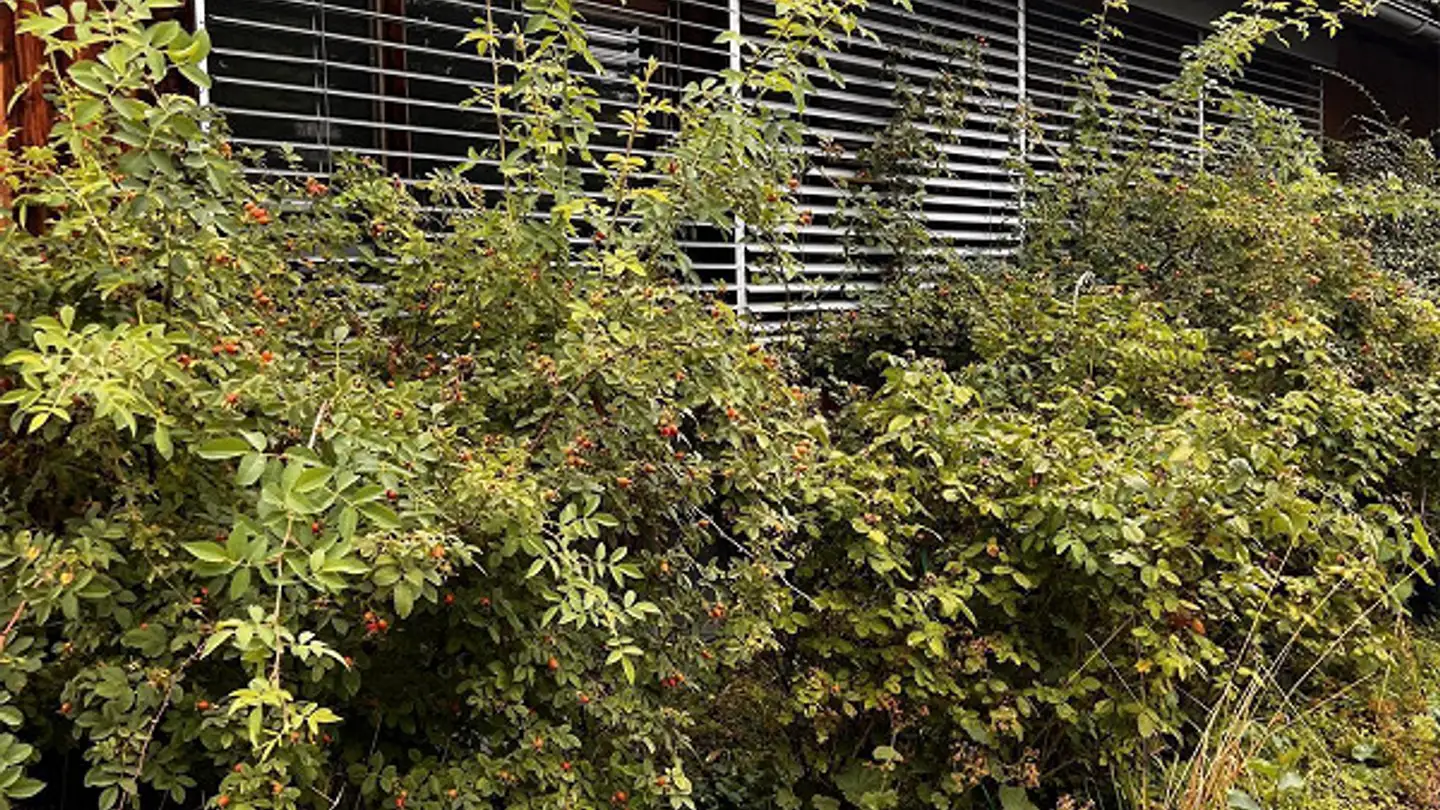 Spazio ufficio in affitto - Loëstrasse 37, 7000 Chur - Photo 4