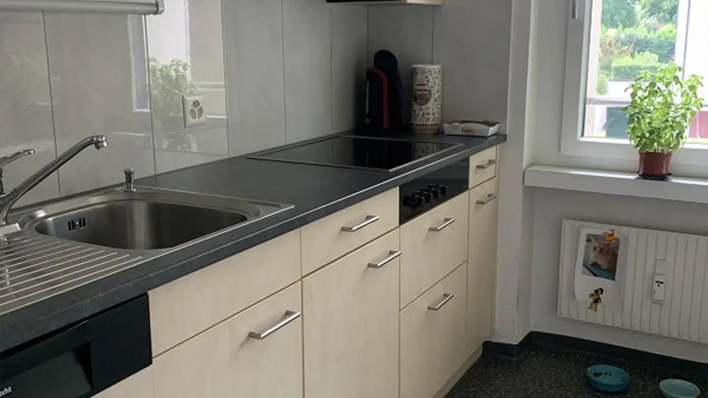 Appartement à louer - Moosfeldstrasse 2, 8598 Bottighofen - Photo 2