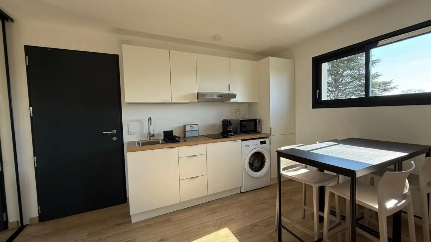Studio for rent - 1290 Versoix