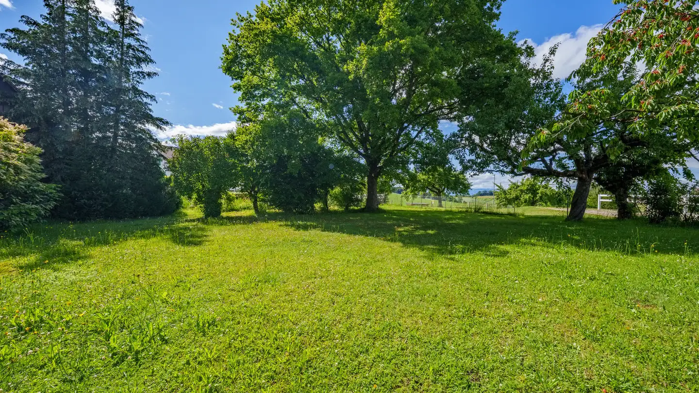 Constructible plot for sale - 1061 Villars-Mendraz - Photo 3