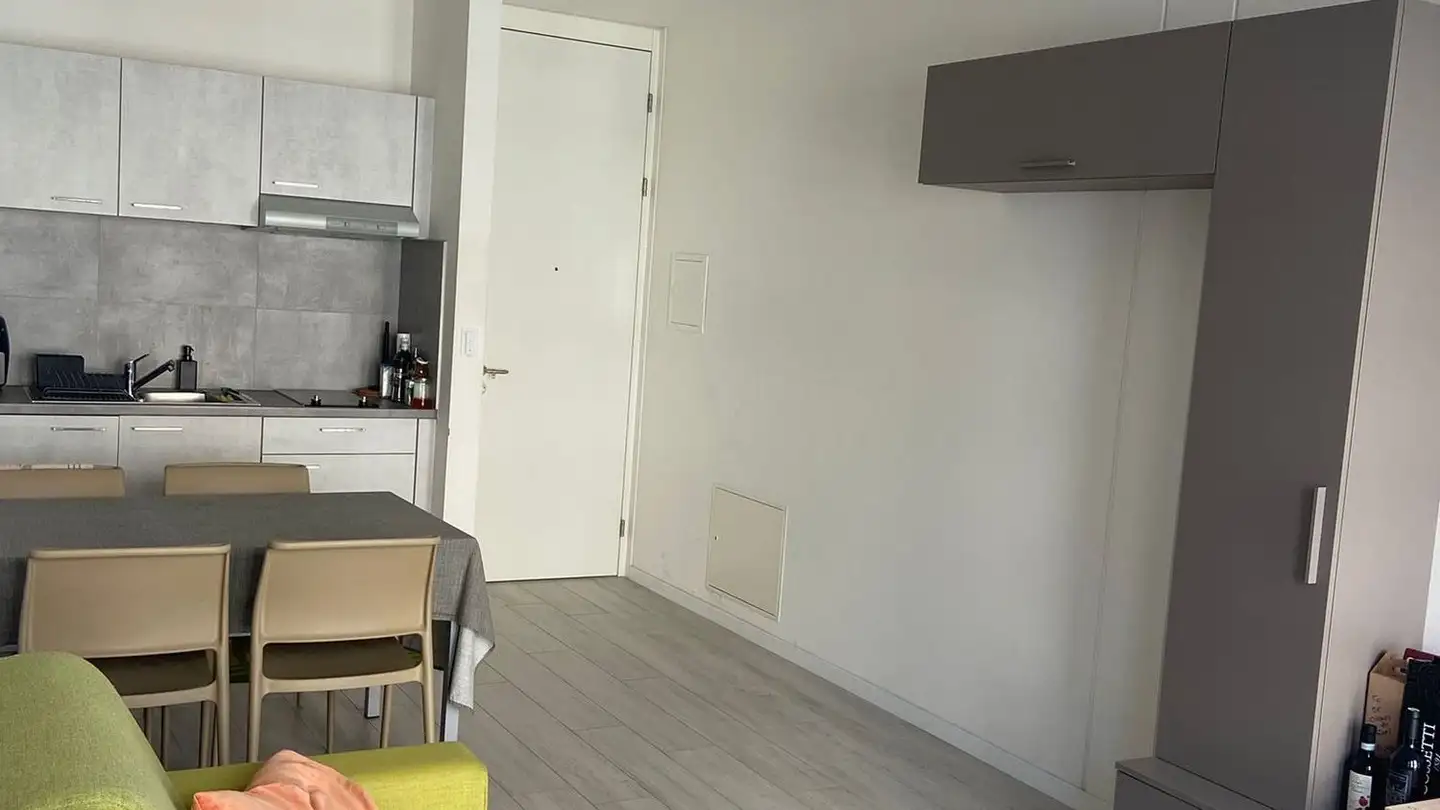 Appartement à louer - Viale Dei Faggi 9, 6900 Lugano - Photo 2