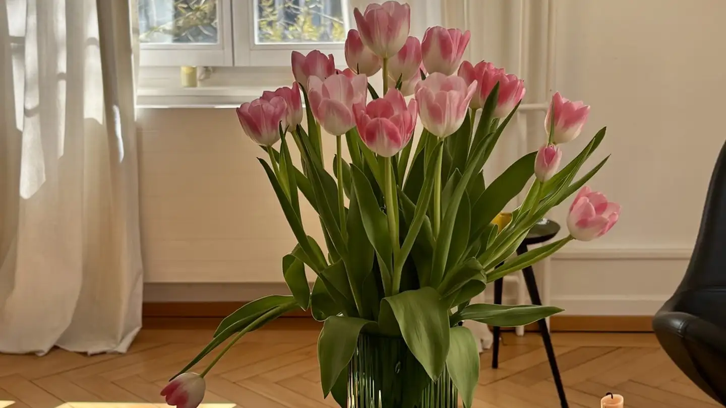 Appartement meublé à louer - 8003 Zürich - Photo 3