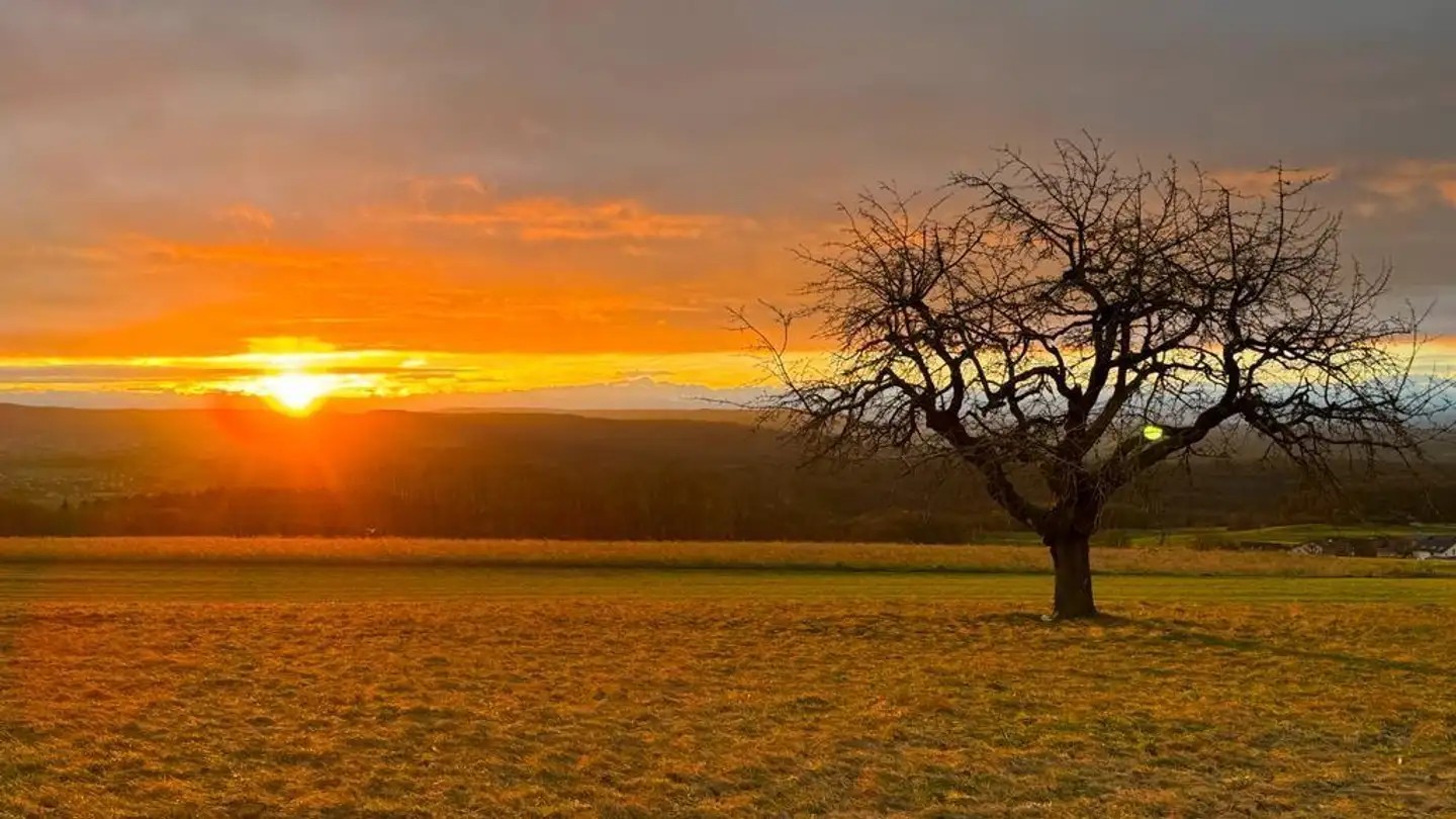 Wohnung mieten - Dorfstrasse 21, 8236 Büttenhardt