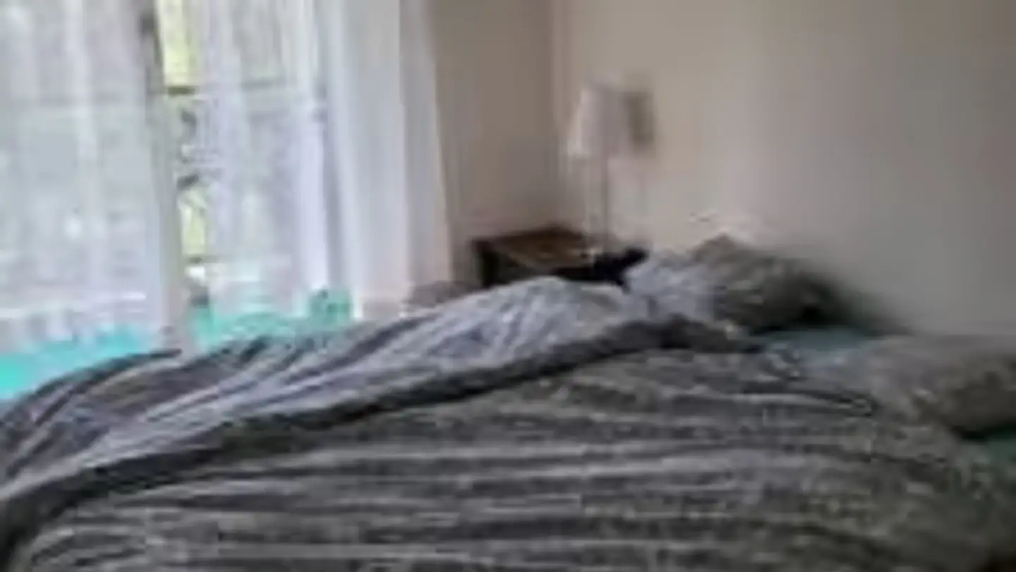 Appartement à louer - Chemin Édouard-Olivet, 1226 Thônex - Photo 4