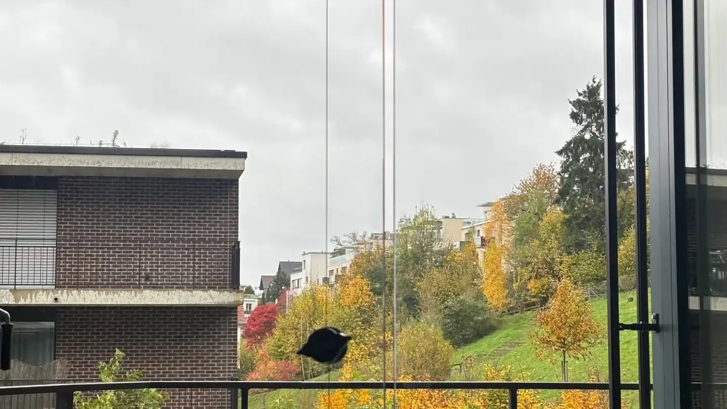 Appartamento in affitto - Neugasse 21, 8810 Horgen - Foto 3