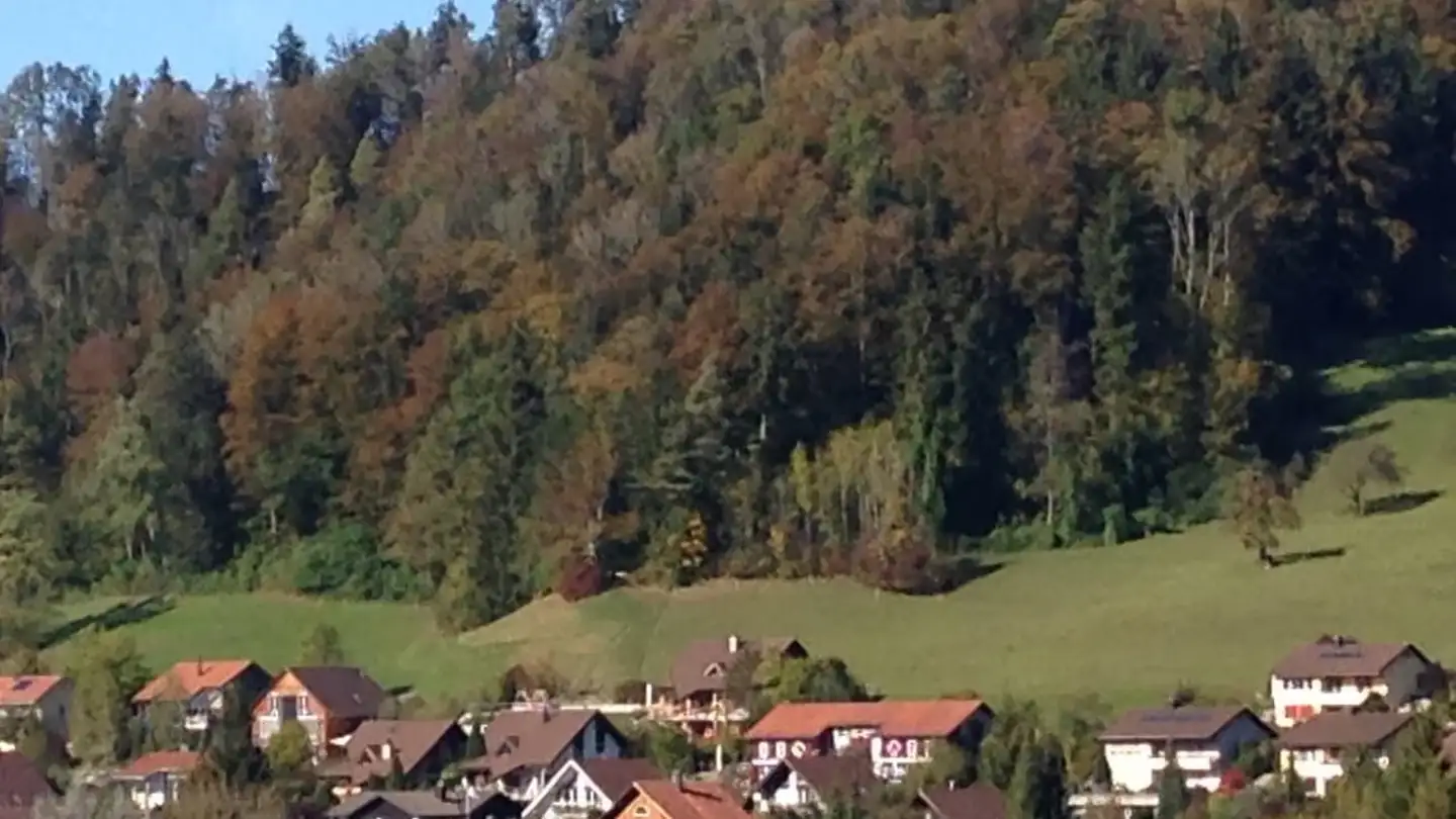 Studio à louer - Sonnhaldenstrasse 22, 8488 Turbenthal - Photo 2