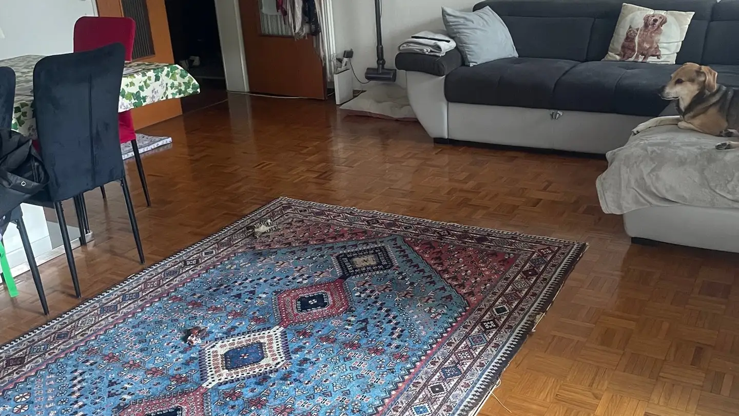 Appartamento in affitto - Via Girella 25, 6814 Lamone - Foto 4