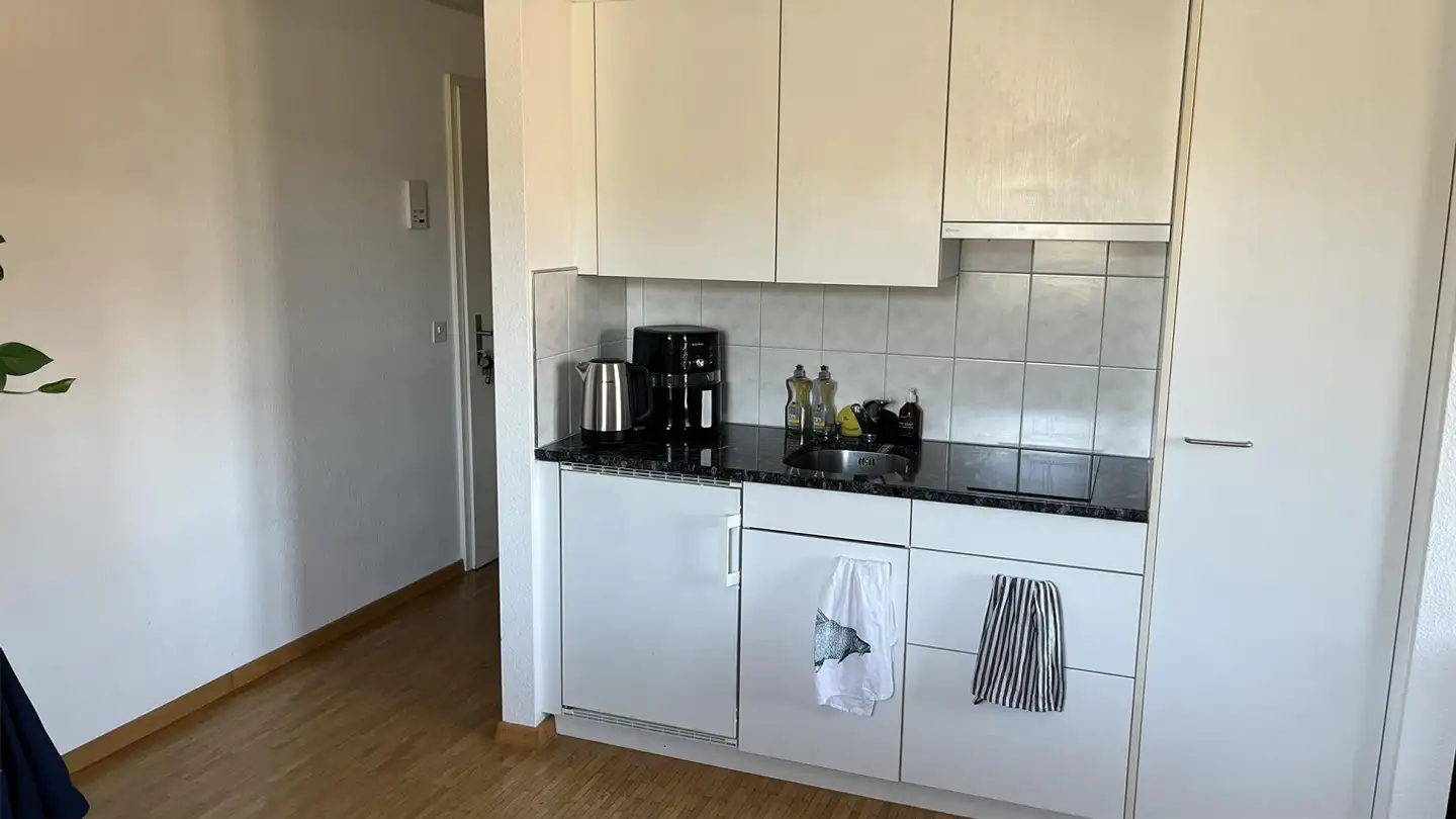 Appartamento in affitto - Sonnenbergstrasse 49, 5408 Ennetbaden - Foto 4