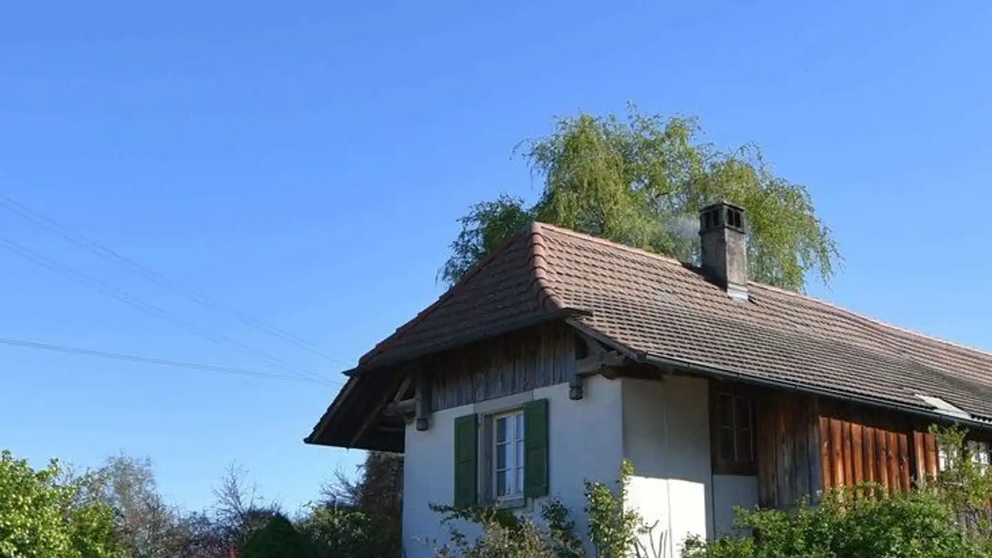 Maison individuelle à vendre - Rain 1, 3424 Oberösch