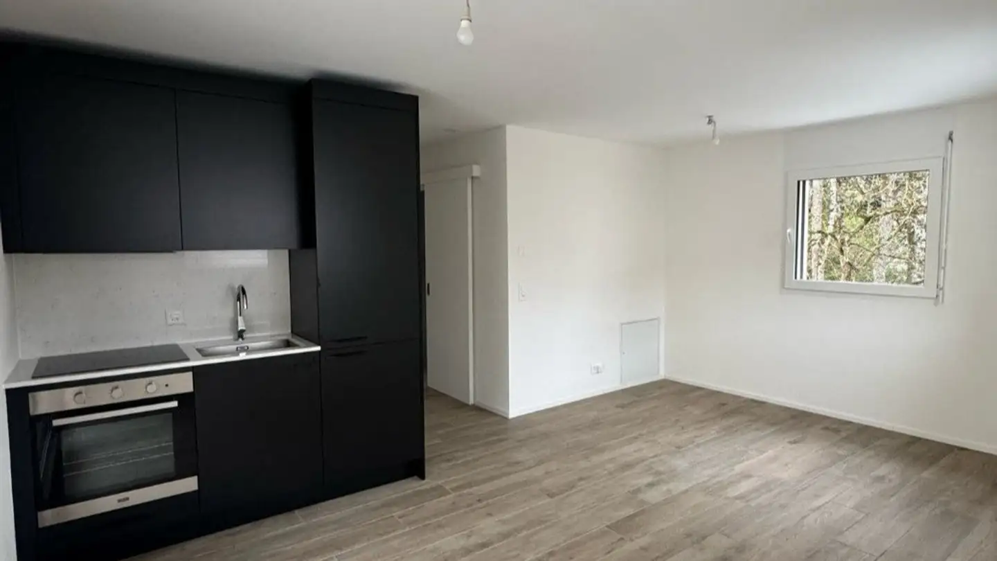 Wohnung mieten - Chemin De Boissonnet, 1010 Lausanne - Foto 2