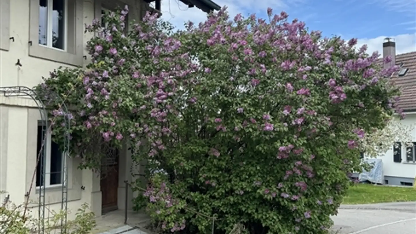 Fattoria in vendita - Route De Grand-Clos 21, 1784 Wallenried - Foto 2