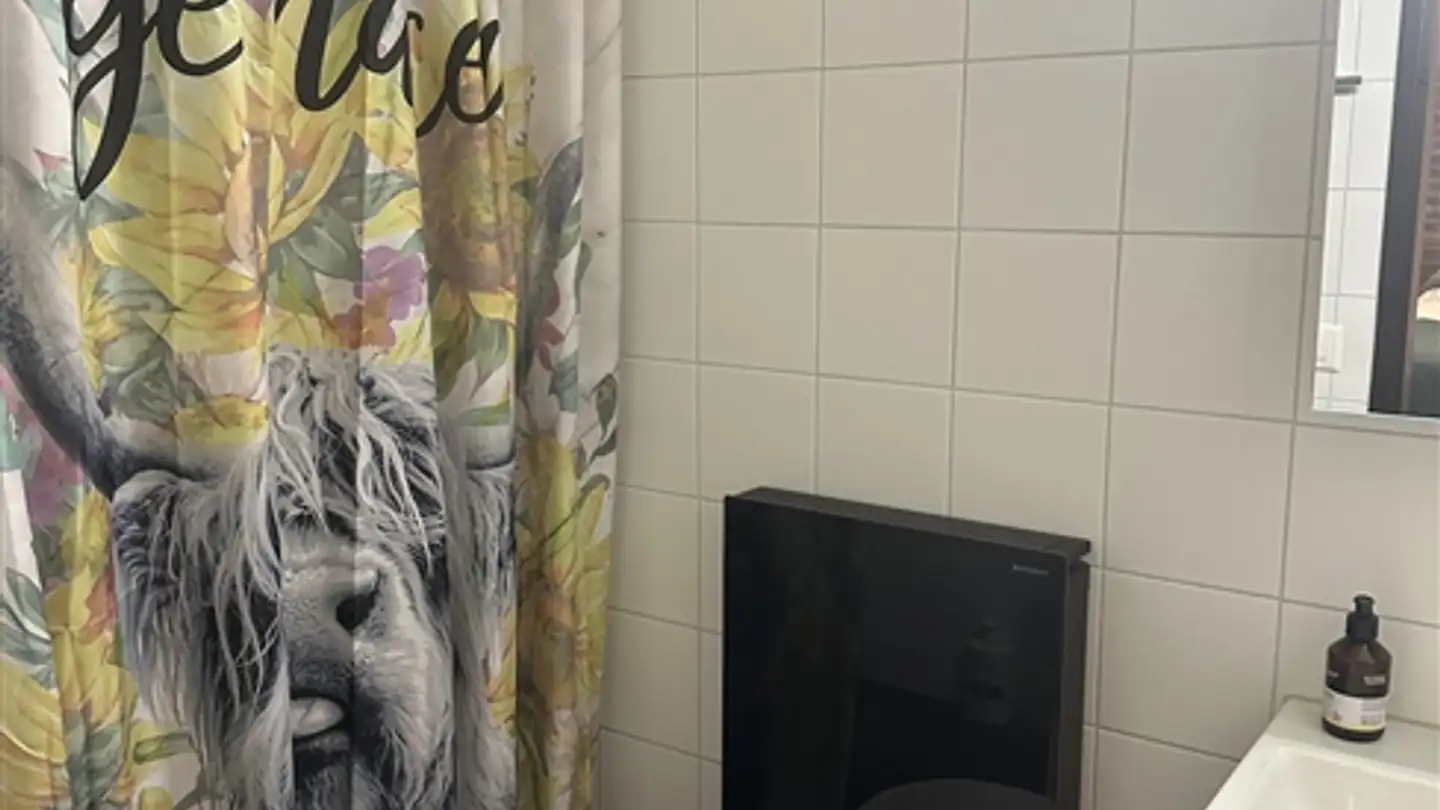 Furnished apartment for rent - 8005 Zürich - Photo 3