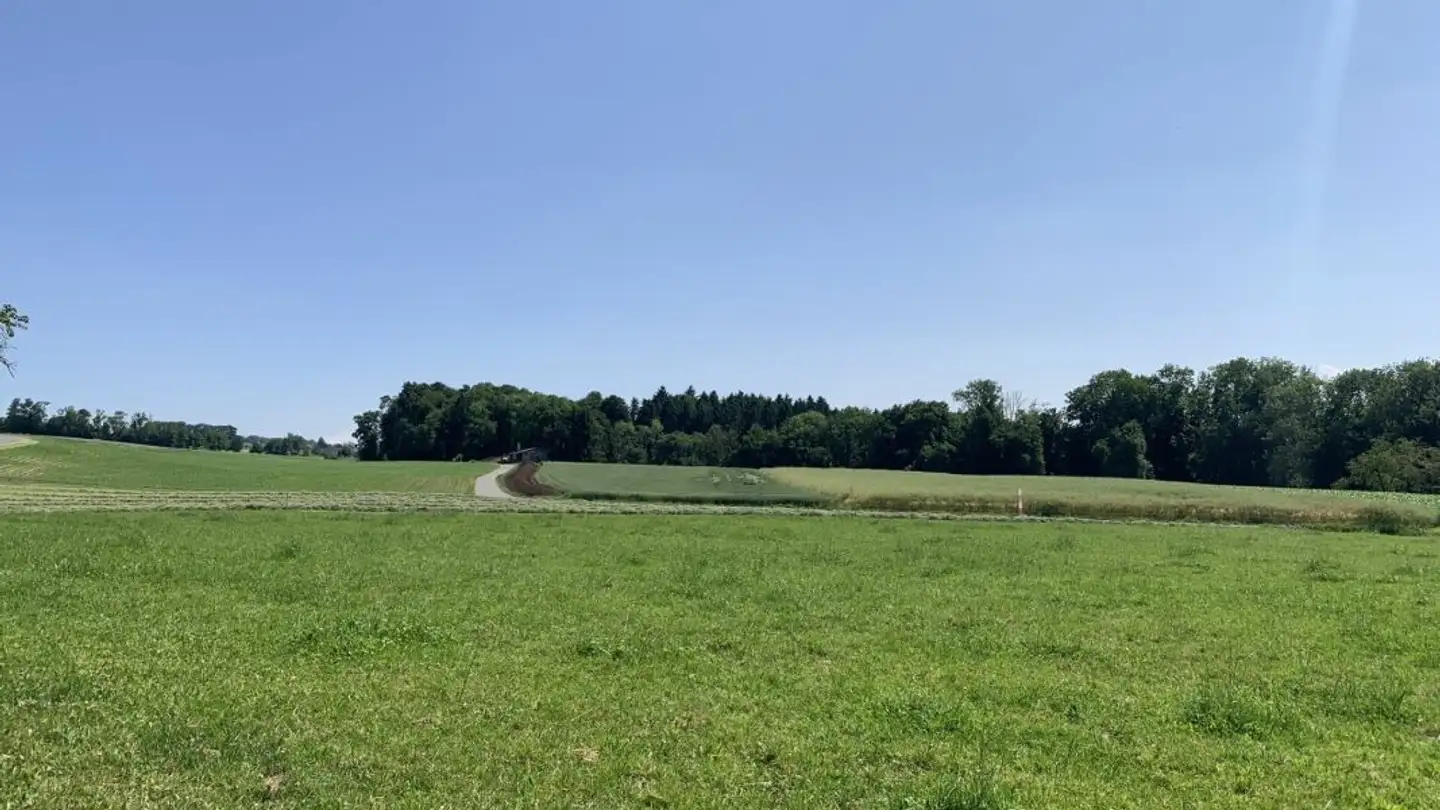 Einfamilienhaus kaufen - Alte Bettwilerstrasse, 5615 Fahrwangen - Foto 3