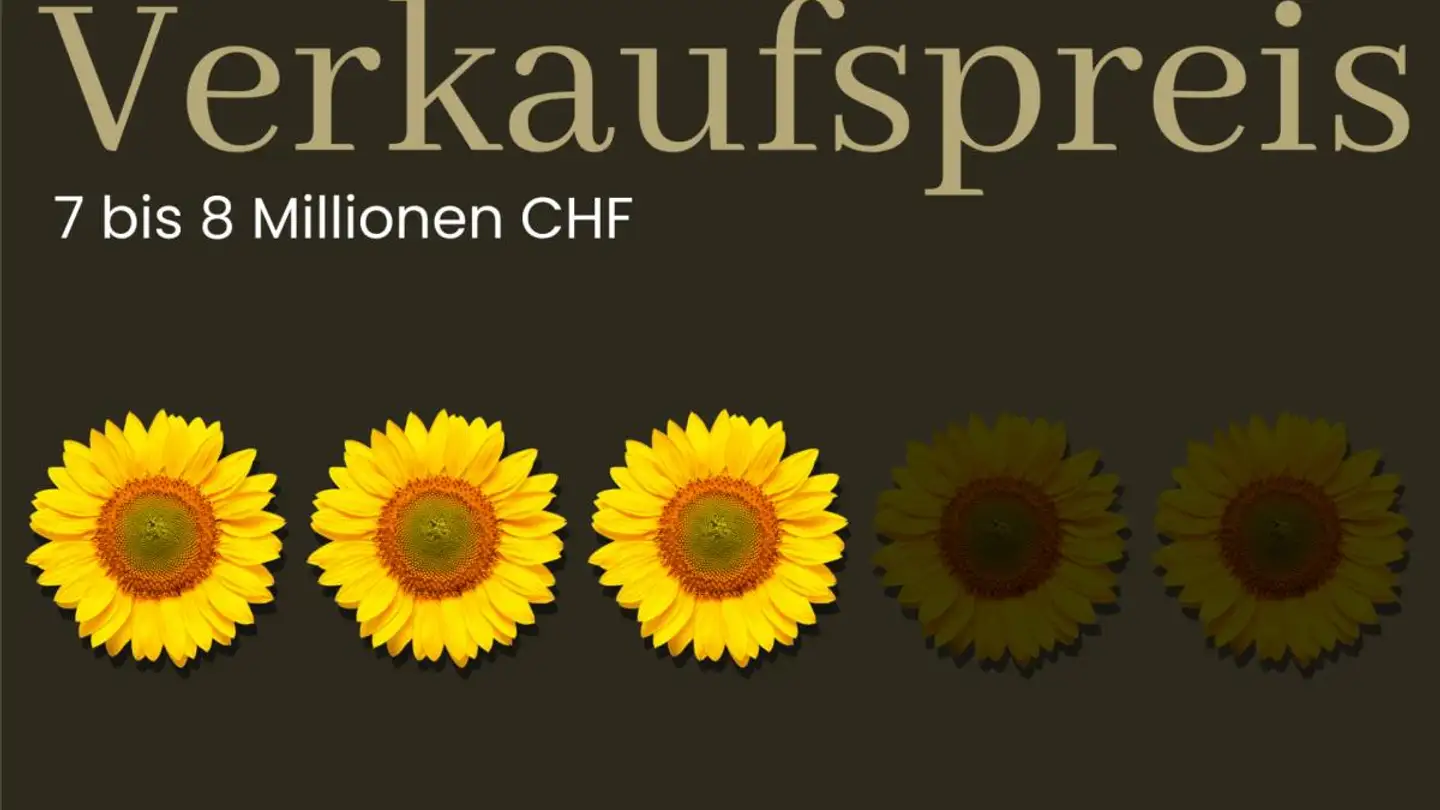 Einfamilienhaus kaufen - 8142 Uitikon Waldegg - Foto 2