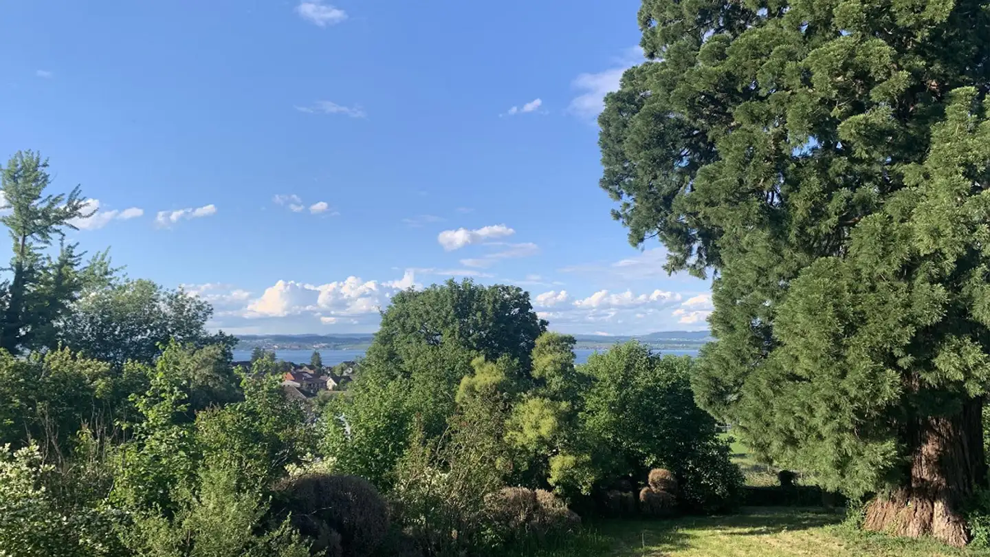 Appartement à louer - Lothalde 21, 8595 Altnau