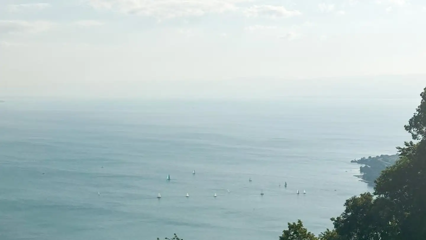 Wohnung mieten - 1071 Chexbres - Foto 4