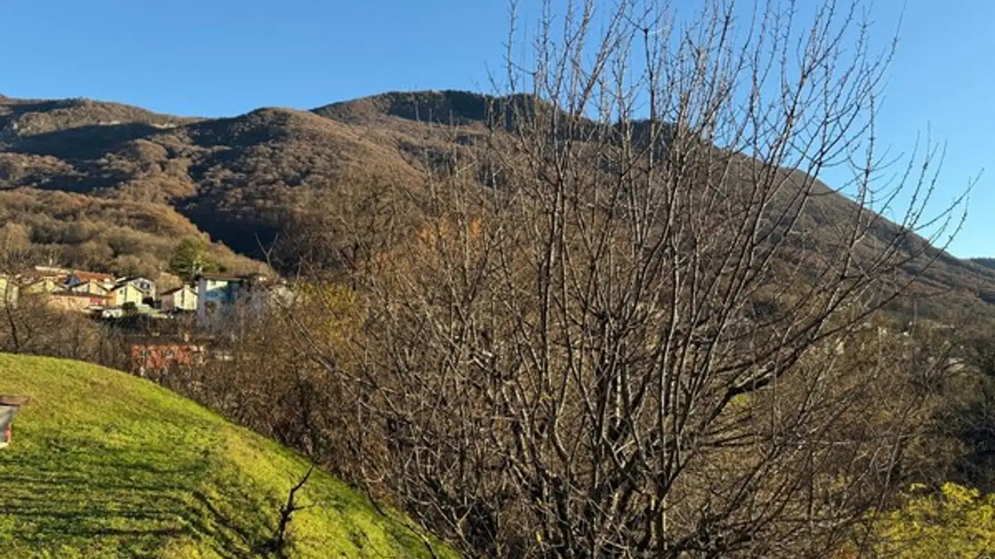 Terreno edificabile in vendita - 6965 Cadro - Photo 3