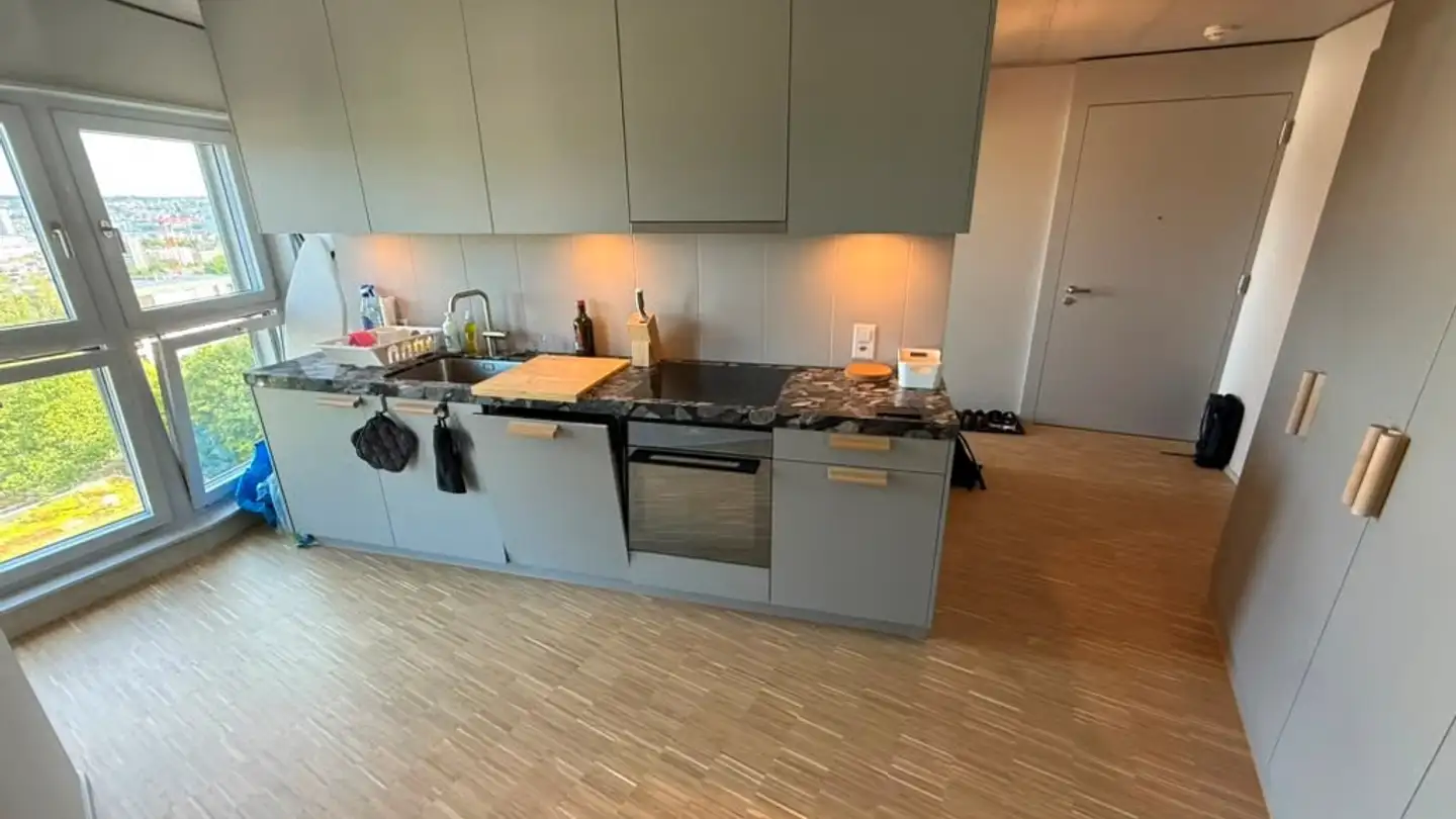 Appartamento in affitto - Birmensdorferstrasse 485, 8055 Zürich - Foto 3