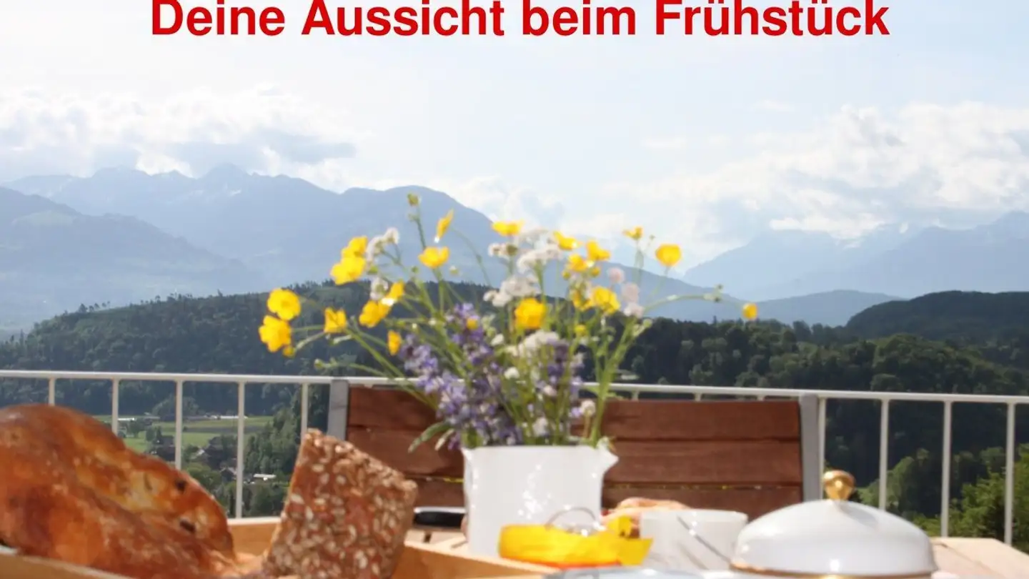 Single house for sale - Süsswinkelstrasse 9, 9453 Eichberg