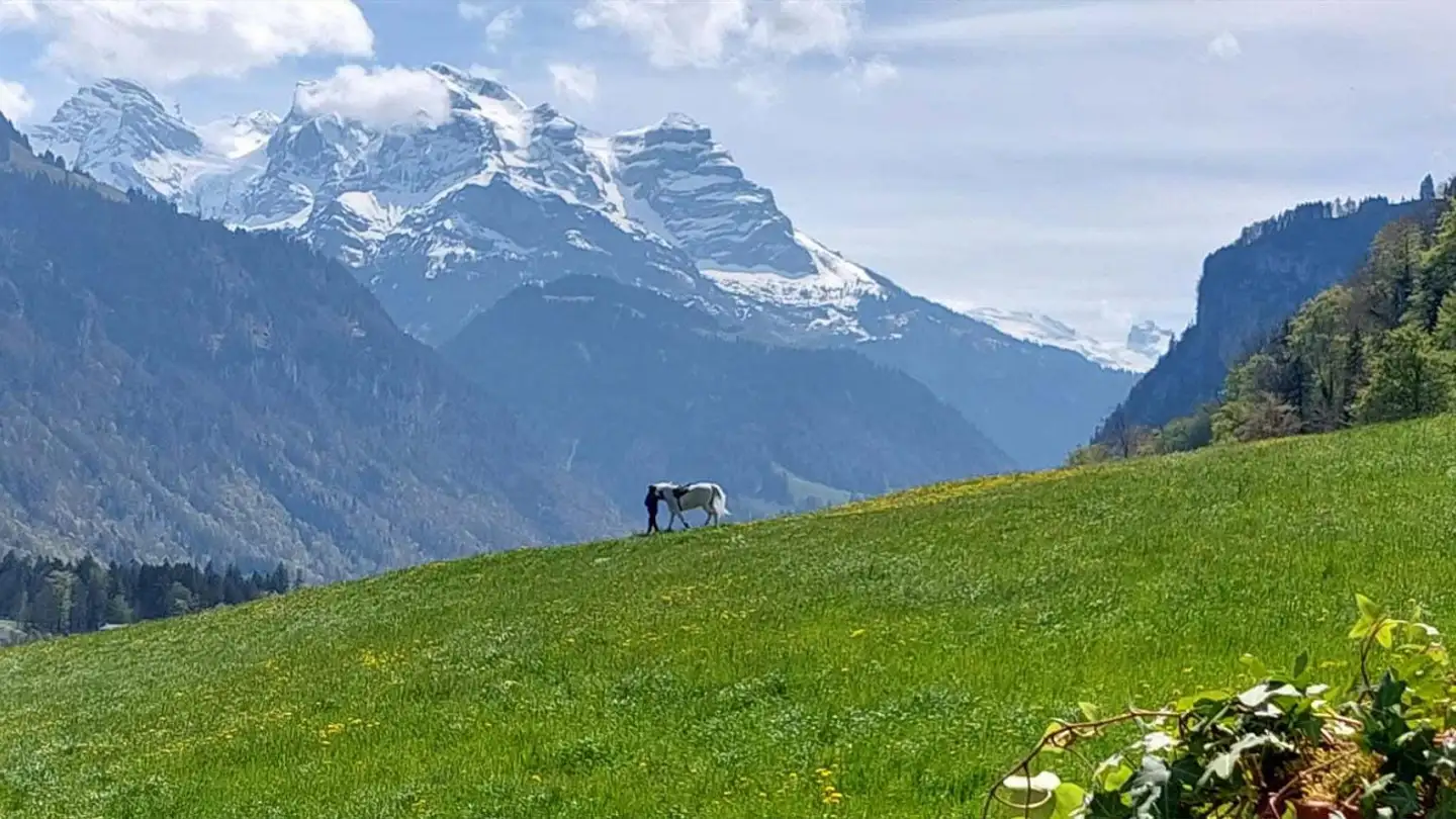 Wohnung mieten - Dallenwilerstrasse 2, 6370 Oberdorf NW