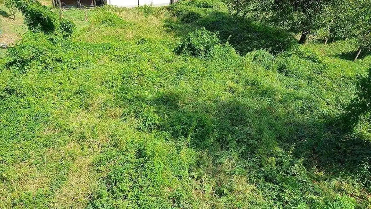 Terrain constructible à vendre - 6525 Gnosca - Photo 4