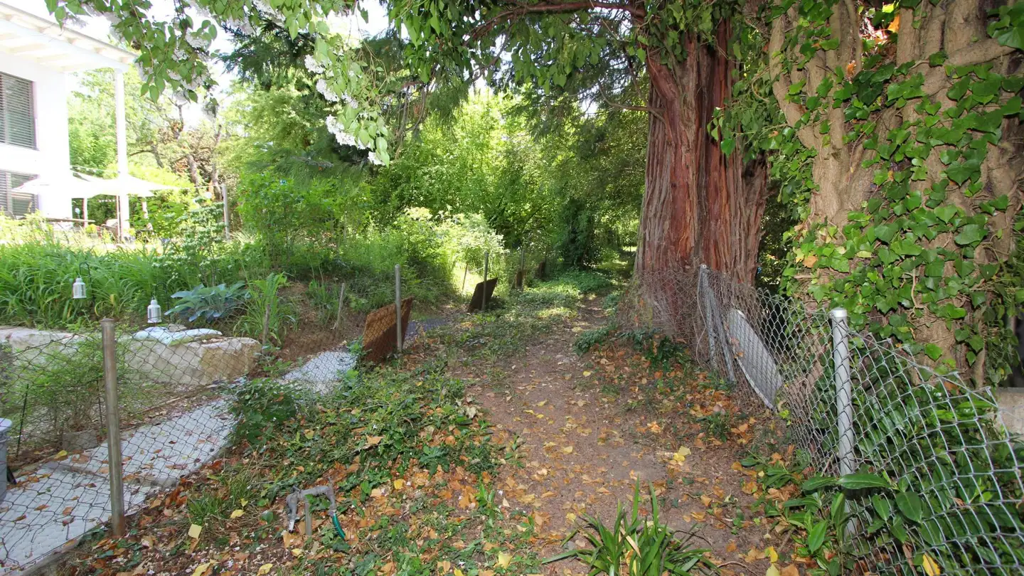 Terreno edificabile in vendita - Unterer Zielweg, 4143 Dornach - Foto 3