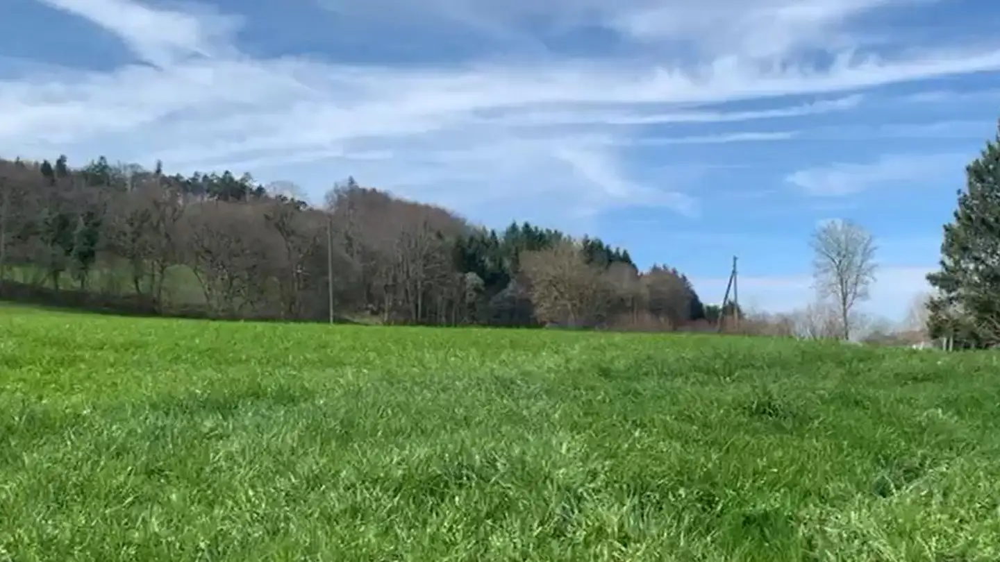 Terrain constructible à vendre - 2814 Roggenburg