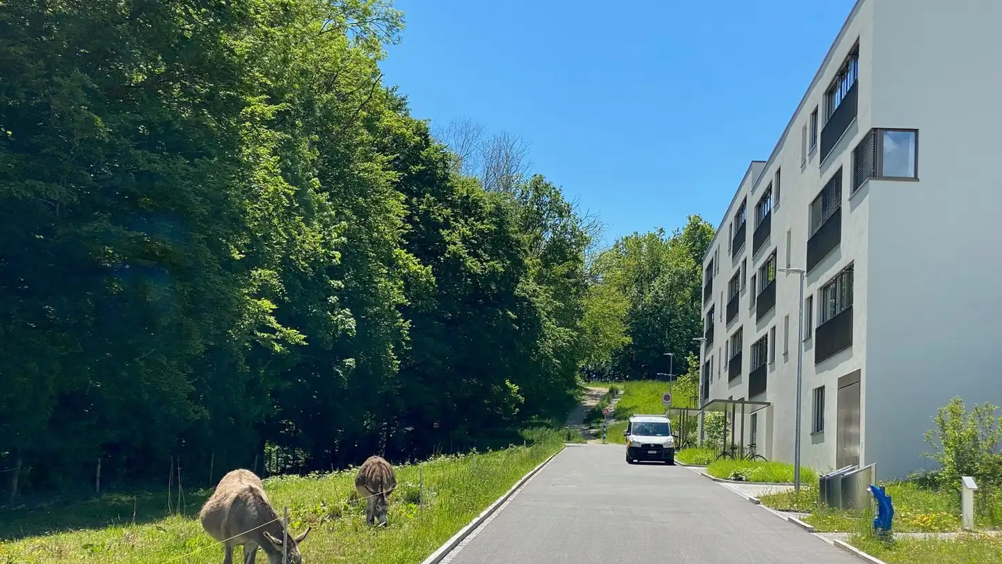 Appartamento in vendita - Eichenweg 4, 4600 Olten