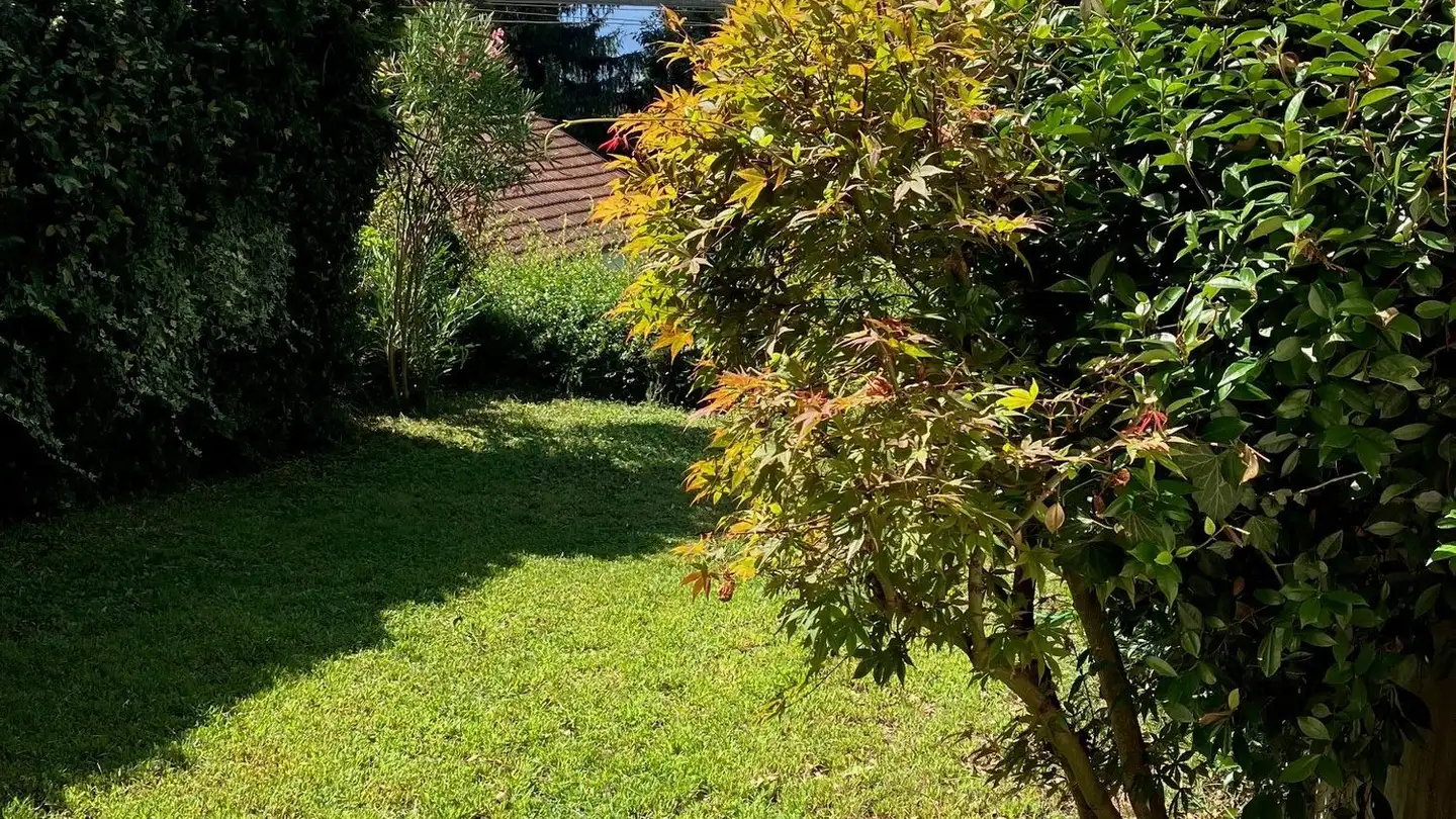 Appartamento in affitto - 6900 Massagno