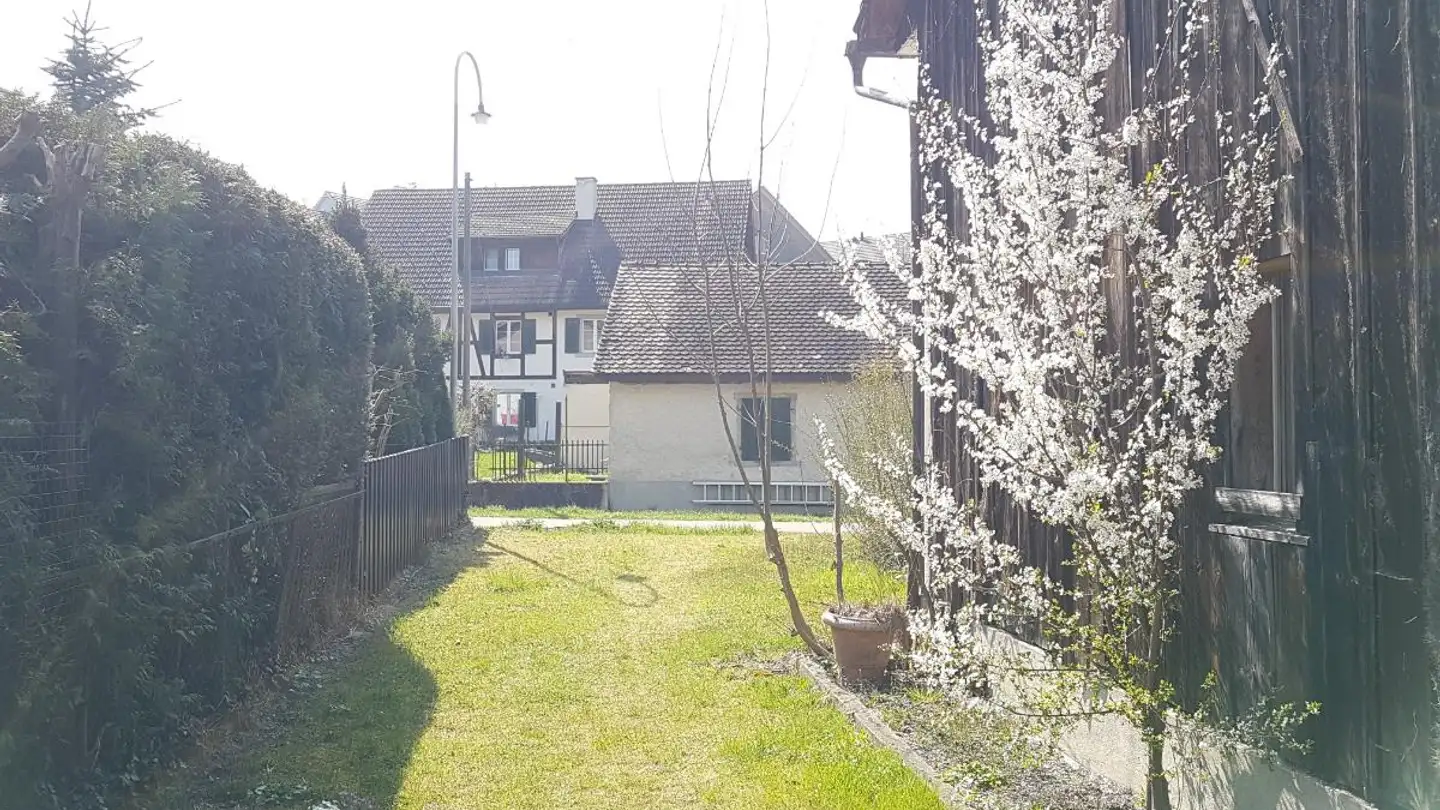 Fattoria in vendita - 8352 Elsau - Photo 3