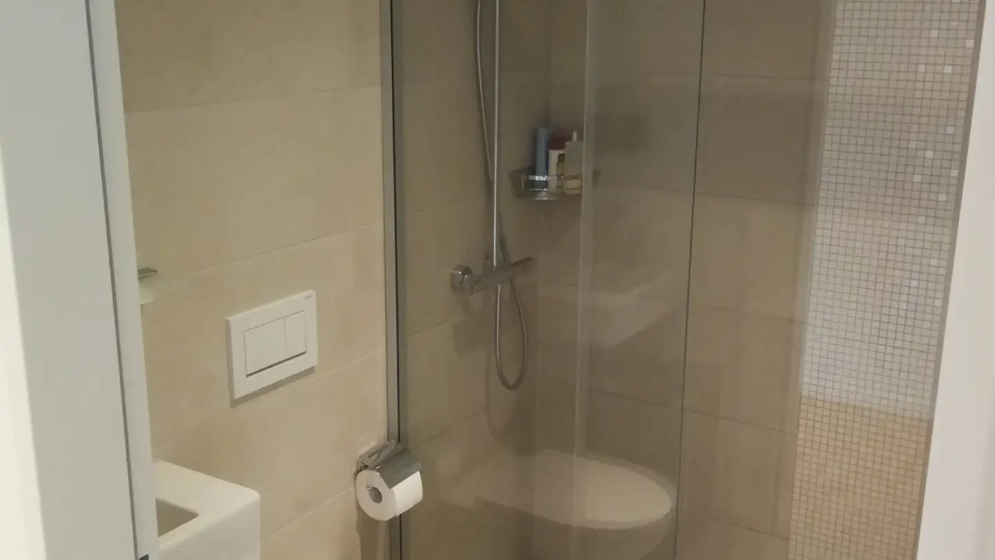 Wohnung mieten - Vulkanstrasse 110c, 8048 Zürich - Foto 3