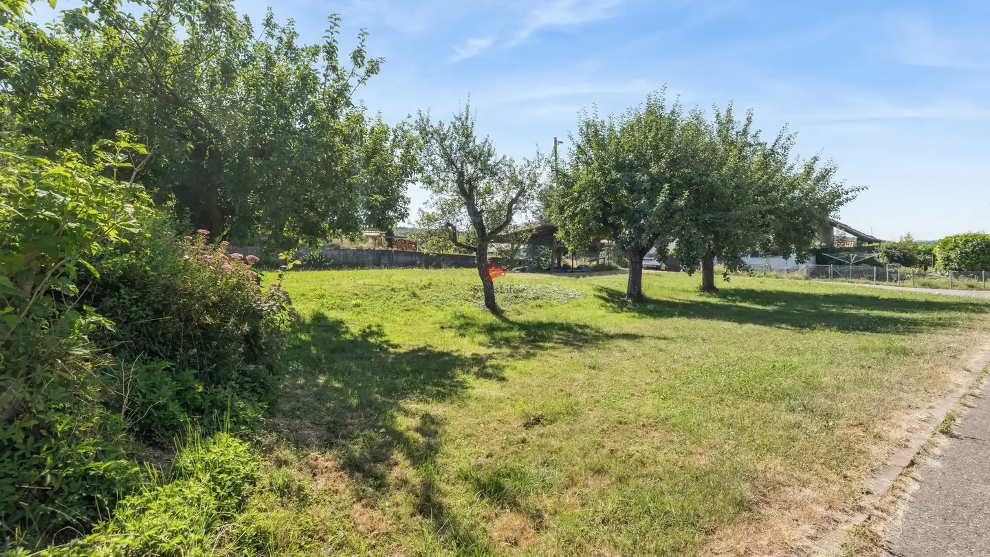 Terreno edificabile in vendita - Baselweg, 4146 Hochwald - Photo 3