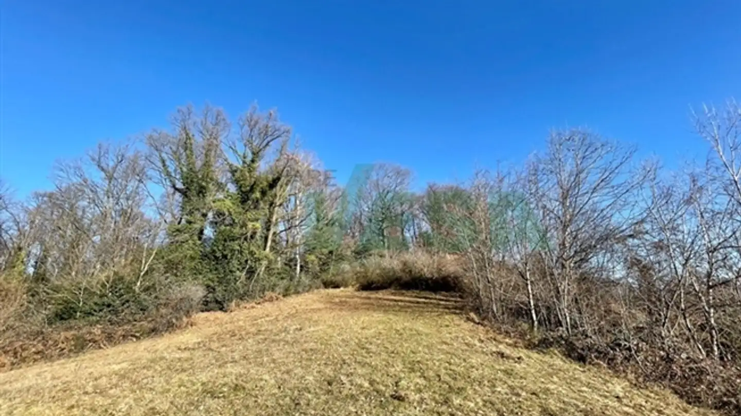 Appartamento in vendita - 6935 Bosco Luganese - Photo 4